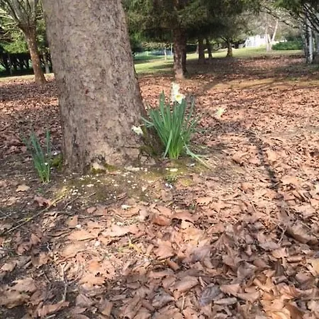 Nyaraló Les Pierrottes *