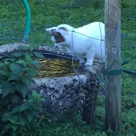 Les Pierrottes Nyaraló *